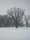 <img100*0:stuff/z/179797/April%2527s%2520Pics%2520Addition%2520PG/i1263429585_2.jpg>
