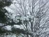 <img100*0:stuff/z/179797/April%2527s%2520Pics%2520Addition%2520PG/i1263429585_6.jpg>