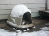 <img100*0:stuff/z/179797/April%2527s%2520Pics%2520Addition%2520PG/i1263429585_7.jpg>