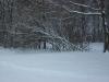 <img100*0:stuff/z/179797/April%2527s%2520Pics%2520Addition%2520PG/i1263429586_15.jpg>