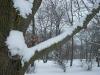 <img100*0:stuff/z/179797/April%2527s%2520Pics%2520Addition%2520PG/i1263429586_18.jpg>