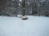 <img100*0:stuff/z/179797/April%2527s%2520Pics%2520Addition%2520PG/i1263429586_21.jpg>