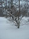 <img100*0:stuff/z/179797/April%2527s%2520Pics%2520Addition%2520PG/i1263429586_22.jpg>