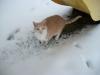 <img100*0:stuff/z/179797/April%2527s%2520Pics%2520Addition%2520PG/i1263429586_24.jpg>