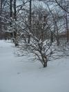 <img100*0:stuff/z/179797/April%2527s%2520Pics%2520Addition%2520PG/i1263429586_26.jpg>