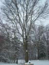 <img100*0:stuff/z/179797/April%2527s%2520Pics%2520Addition%2520PG/i1263429586_29.jpg>