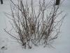 <img100*0:stuff/z/179797/April%2527s%2520Pics%2520Addition%2520PG/i1263429586_30.jpg>