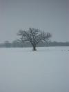 <img100*0:stuff/z/179797/April%2527s%2520Pics%2520Addition%2520PG/i1263429586_31.jpg>