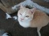 <img100*0:stuff/z/179797/April%2527s%2520Pics%2520Addition%2520PG/i1263429586_32.jpg>