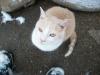 <img100*0:stuff/z/179797/April%2527s%2520Pics%2520Addition%2520PG/i1263429587_36.jpg>