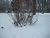 <img100*0:stuff/z/179797/April%2527s%2520Pics%2520Addition%2520PG/i1263429587_38.jpg>