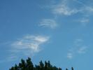 <img0*100:stuff/z/179797/April%2527s%2520Pics%2520Addition%2520PG/i1263587576_3.jpg>