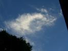 <img0*100:stuff/z/179797/April%2527s%2520Pics%2520Addition%2520PG/i1263587576_4.jpg>