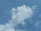 <img0*100:stuff/z/179797/April%2527s%2520Pics%2520Addition%2520PG/i1263587577_9.jpg>