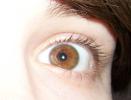 <img0*100:stuff/z/179797/Brown%2520Eye%2520Photos/4.jpg>