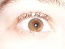 <img0*100:stuff/z/179797/Brown%2520Eye%2520Photos/5.jpg>