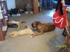 <img100*0:stuff/z/179797/Cat%2520Photos%25202/10.jpg>