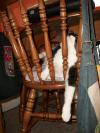 <img100*0:stuff/z/179797/Cat%2520Photos%25202/107.jpg>