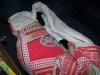 <img100*0:stuff/z/179797/Cat%2520Photos%25202/118.jpg>