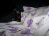 <img100*0:stuff/z/179797/Cat%2520Photos%25202/130.jpg>