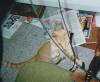 <img100*0:stuff/z/179797/Cat%2520Photos%25202/141.jpg>