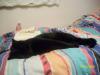 <img100*0:stuff/z/179797/Cat%2520Photos%25202/22.jpg>