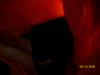 <img100*0:stuff/z/179797/Cat%2520Photos%25202/6.jpg>