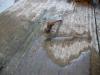 <img100*0:stuff/z/179797/Dragonfly%2520Photos/7.jpg>