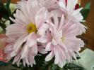 <img0*100:stuff/z/179797/Fireworks%25202/11.jpg>