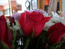 <img0*100:stuff/z/179797/Fireworks%25202/14.jpg>
