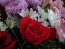 <img0*100:stuff/z/179797/Fireworks%25202/15.jpg>