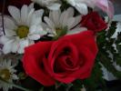<img0*100:stuff/z/179797/Fireworks%25202/16.jpg>
