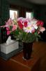 <img0*100:stuff/z/179797/Fireworks%25202/2.jpg>
