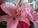 <img0*100:stuff/z/179797/Fireworks%25202/20.jpg>