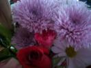<img0*100:stuff/z/179797/Fireworks%25202/24.jpg>