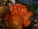<img0*100:stuff/z/179797/Fireworks%25202/26.jpg>