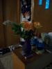 <img0*100:stuff/z/179797/Fireworks%25202/29.jpg>