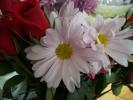 <img0*100:stuff/z/179797/Fireworks%25202/3.jpg>