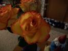 <img0*100:stuff/z/179797/Fireworks%25202/32.jpg>