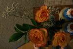 <img0*100:stuff/z/179797/Fireworks%25202/33.jpg>