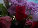 <img0*100:stuff/z/179797/Fireworks%25202/5.jpg>