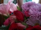 <img0*100:stuff/z/179797/Fireworks%25202/6.jpg>