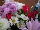 <img0*100:stuff/z/179797/Fireworks%25202/7.jpg>