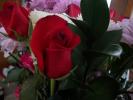 <img0*100:stuff/z/179797/Fireworks%25202/8.jpg>