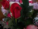 <img0*100:stuff/z/179797/Fireworks%25202/9.jpg>