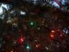 <img100*0:stuff/z/179797/Holiday%2520Reference%2520Photos%25202%2520/100_1178.jpg>