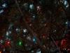 <img100*0:stuff/z/179797/Holiday%2520Reference%2520Photos%25202%2520/100_1179.jpg>