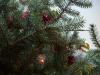 <img100*0:stuff/z/179797/Holiday%2520Reference%2520Photos%25202%2520/100_1180.jpg>