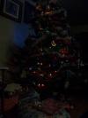 <img100*0:stuff/z/179797/Holiday%2520Reference%2520Photos%25202%2520/100_1549.jpg>