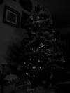 <img100*0:stuff/z/179797/Holiday%2520Reference%2520Photos%25202%2520/100_1550.jpg>